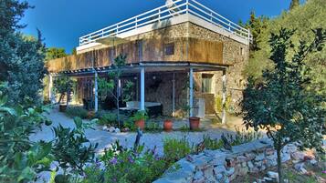 House | Property grounds