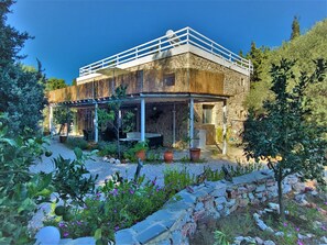 House | Property grounds