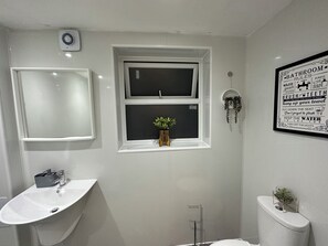 Bathroom features a white vanity with sink, toilet, and wall-mounted mirror.