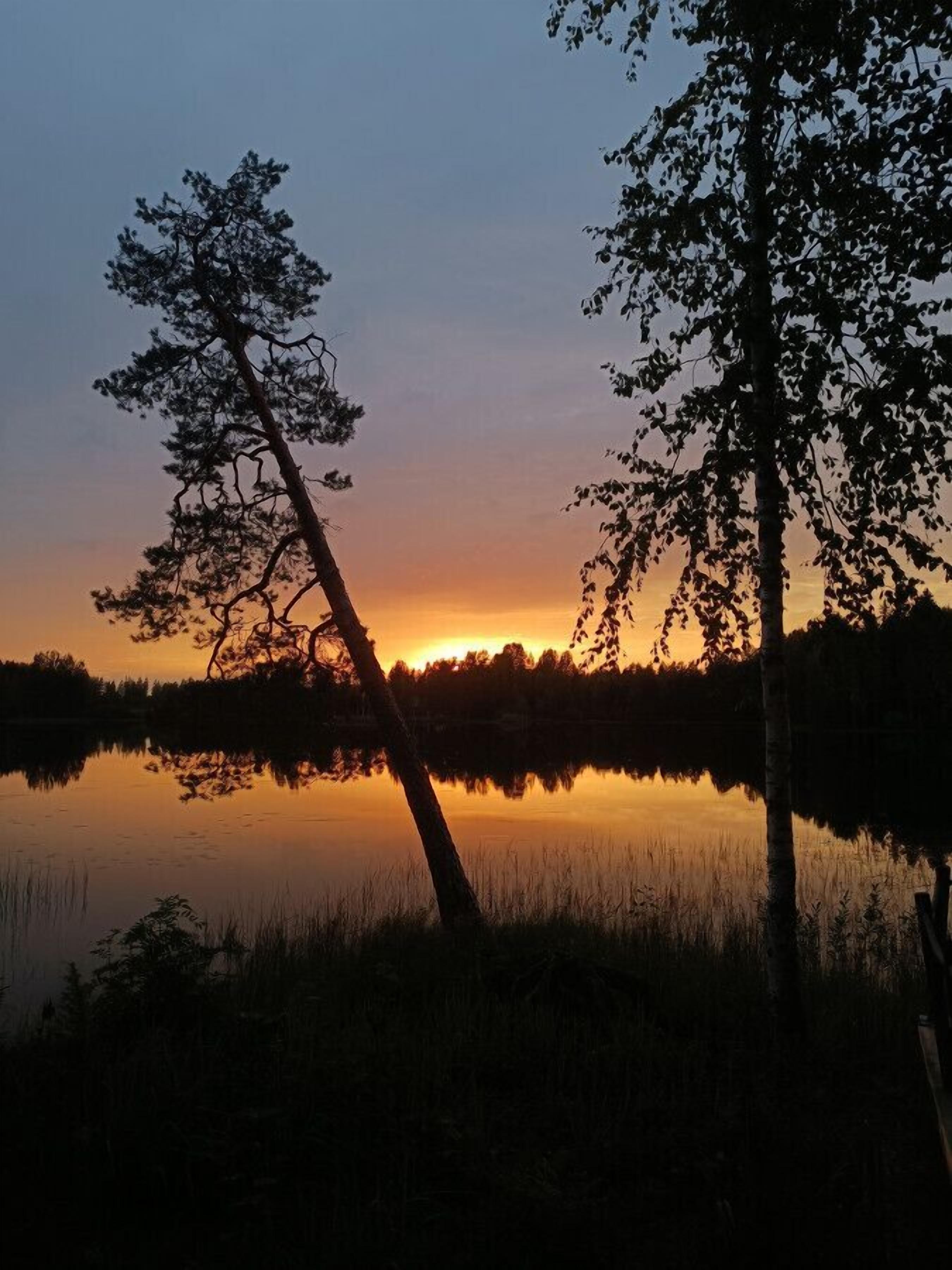 Un coucher de soleil sur un lac paisible, avec des arbres se découpant en silhouette sur le ciel.