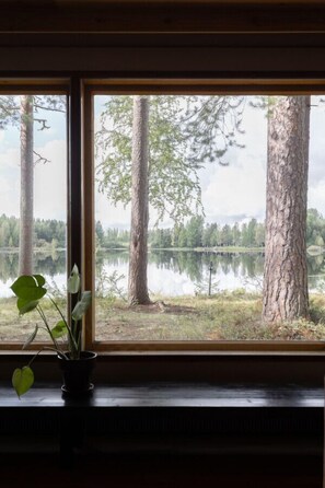 A window with a view of a lake, trees, and a potted plant on the windowsill. - Cozy lodge surrounded by lake (Petäjävesi)