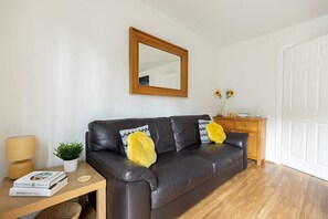 Fernseher, Arbeitsbereiche