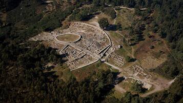 Luchtbeeld van een groot, rond archeologisch terrein met meerdere concentrische ringen en paden.