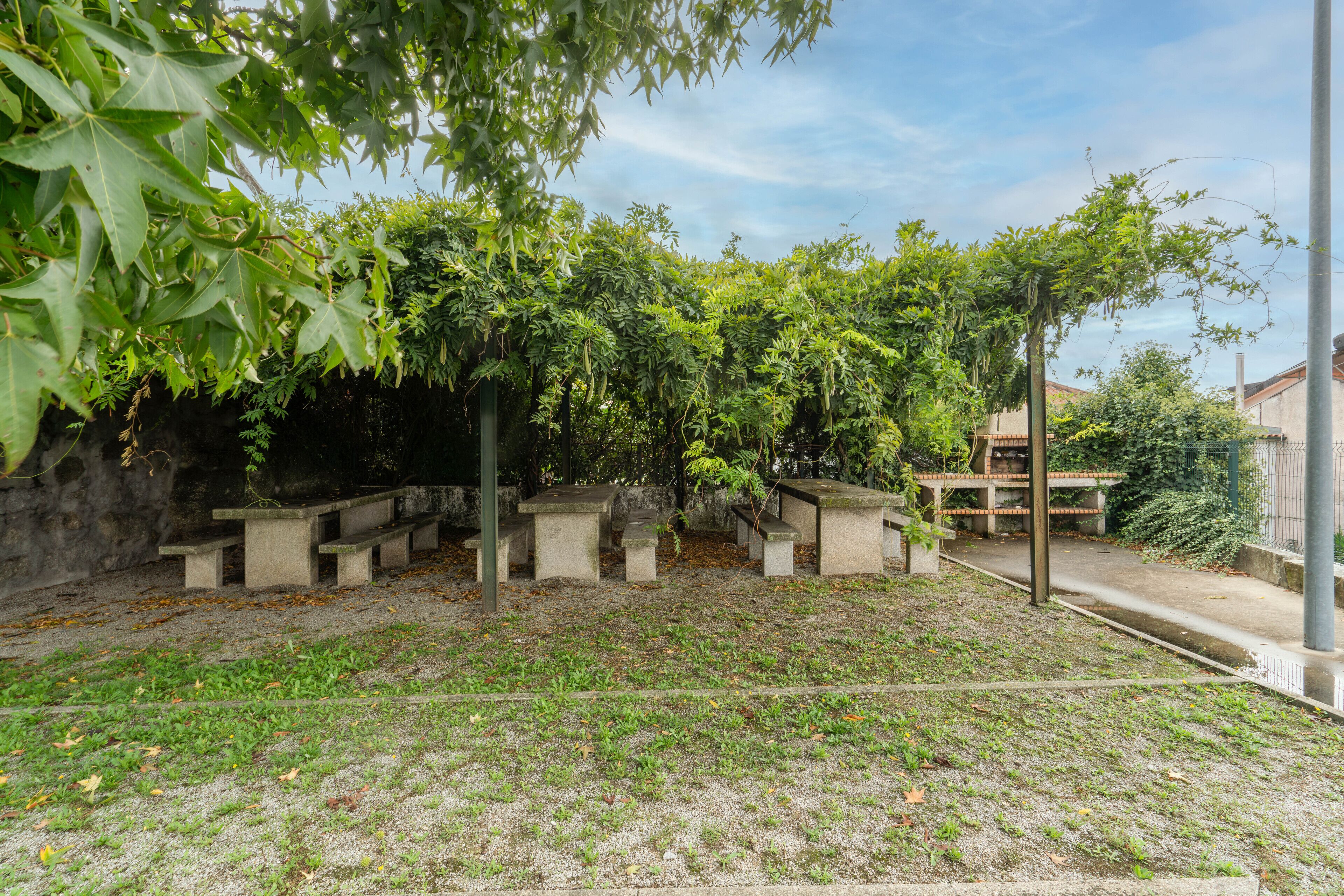 A courtyard with stone benches, a stone wall, and lush greenery.