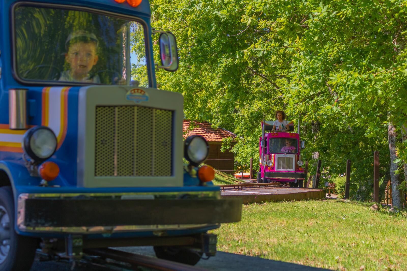 A blue bus with a child in the front seat, a pink bus in the background, and a grassy area with trees.