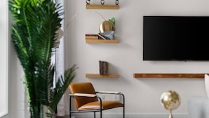 A modern living room with a leather armchair, a large potted plant, and a flat-screen TV mounted on the wall.
