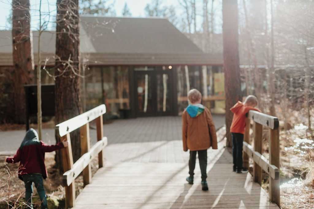 A wooden boardwalk leading to a covered area with a roof, surrounded by trees.