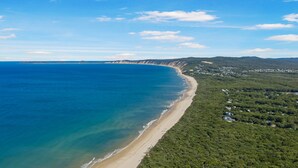 An aerial view of a coastal area with a sandy beach, dense green forest, and a distant town.