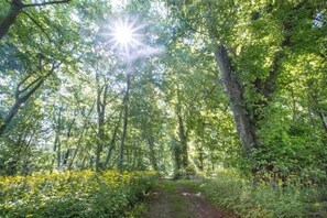 Property grounds - Description (Behren-Lübchin)