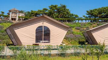 Basic-rum - 1 sovrum (Glamping 8) | Gratis wi-fi