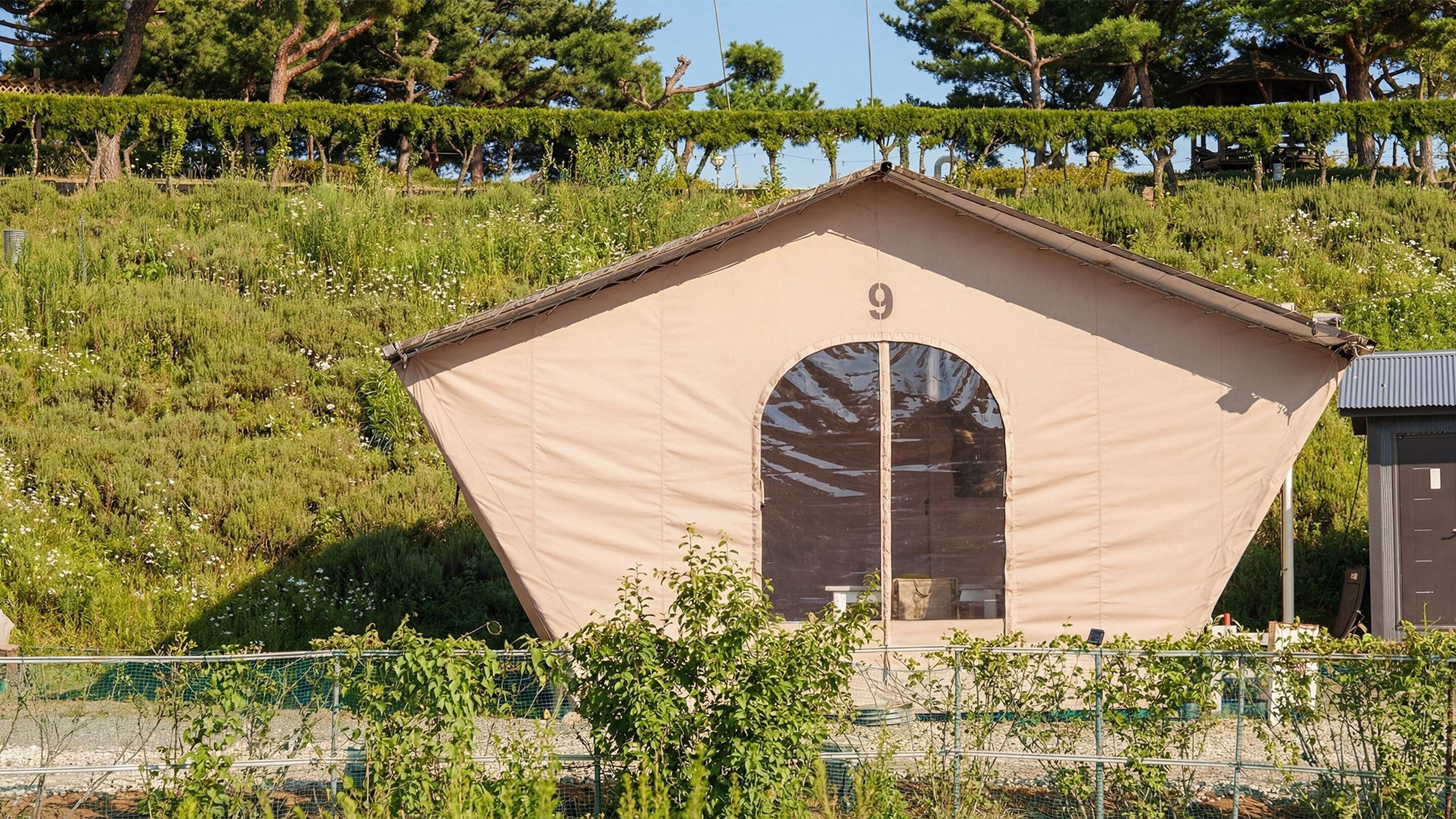 Kamar Basic, 1 kamar tidur (Glamping 9) | Wi-Fi gratis