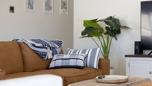A living room with a brown sofa, striped pillows, a large green plant, a television on a stand, and a remote control on a wooden table.