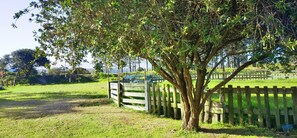 Front of property - Moonsong Backpackers (Plettenberg Bay)