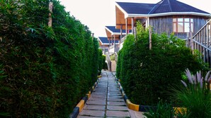 A pathway flanked by neatly trimmed hedges leading to a building with a modern design and a sloped roof.