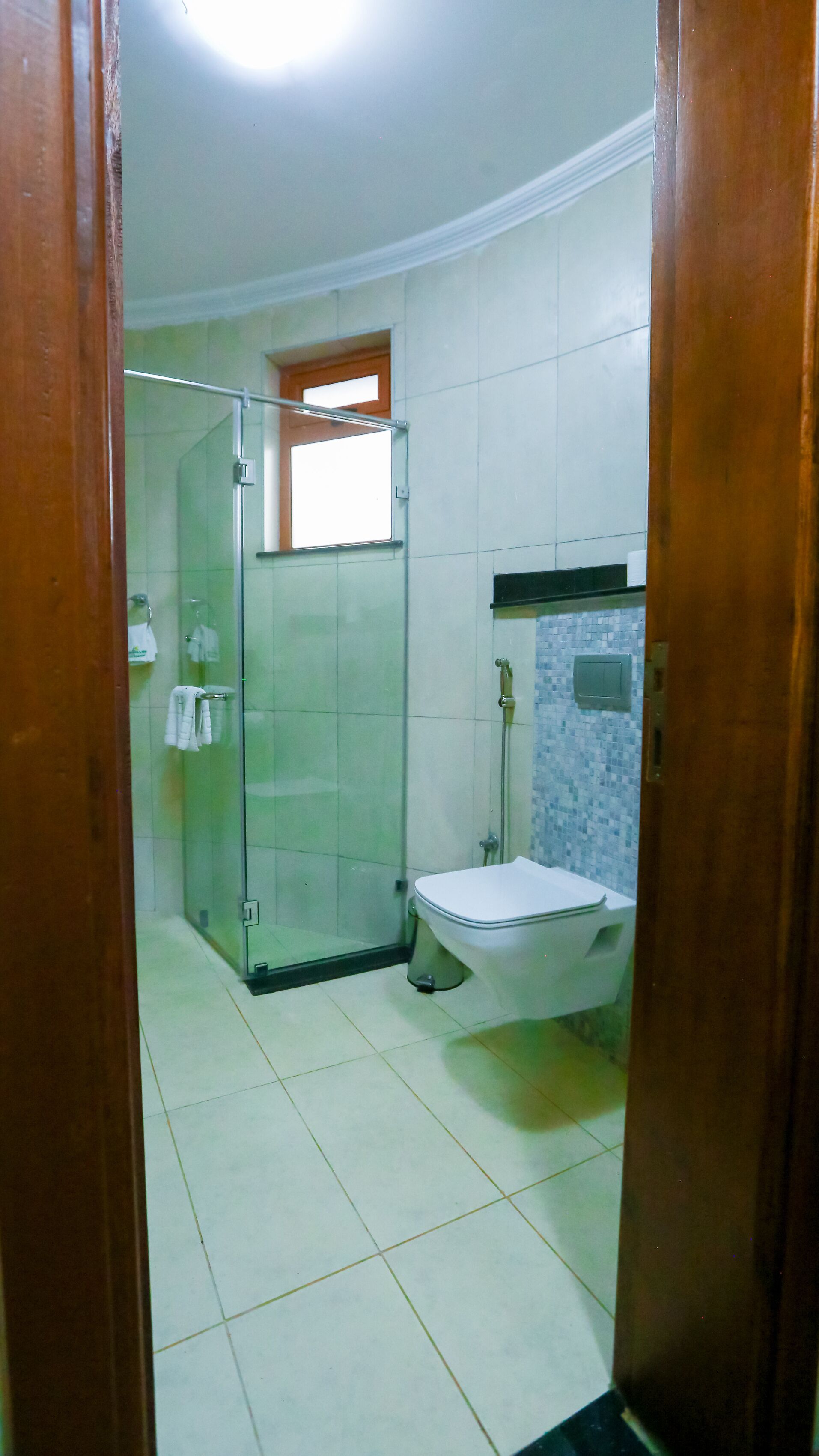 Une salle de bain avec une douche à parois de verre, des toilettes et un lavabo.