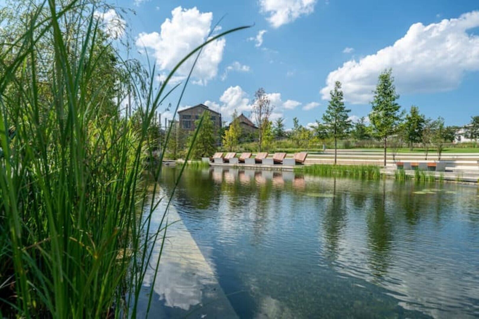 المنطقة المحيطة بالمنشأة