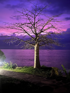 Exterior - Mwazaro Beach Lodge (Shimoni)
