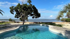 A clear blue pool with a tree in the center, surrounded by a stone wall and a view of the ocean. - Mwazaro Beach Lodge (Shimoni)