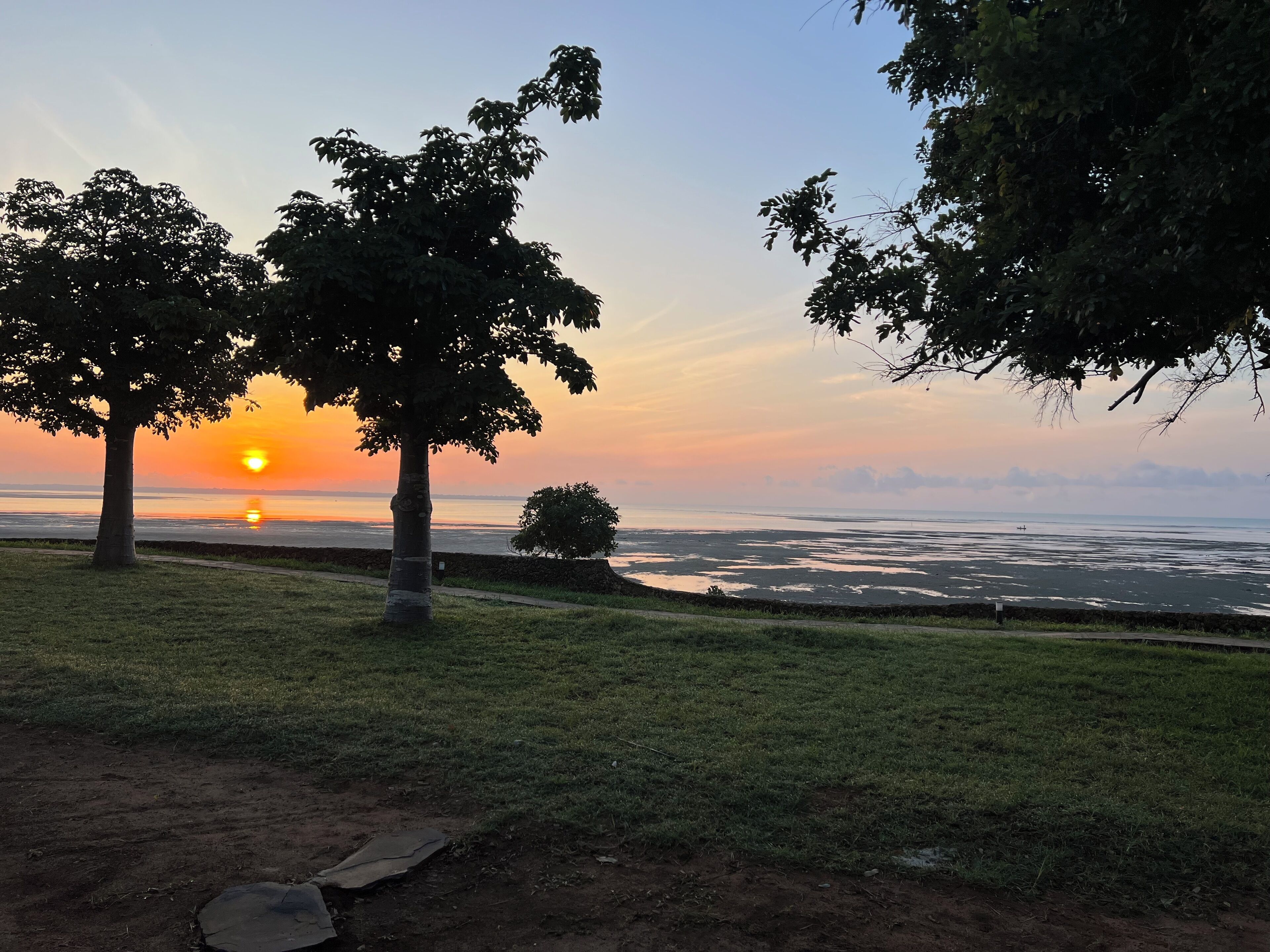 Vista de un atardecer con árboles y un cuerpo de agua.