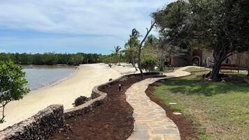 Un sendero costero que lleva a una playa con un muro de piedra y una zona cubierta de césped y árboles.
