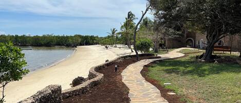 Un sentier côtier qui mène à une plage, avec un mur de pierres et une zone herbeuse bordée d’arbres.