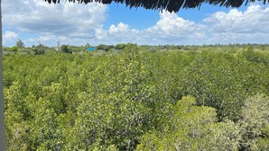 A view from under a thatched roof, looking out over a dense, green landscape with scattered trees and a clear sky. - Mwazaro Beach Lodge (Shimoni)