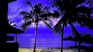 A beach scene with palm trees and a hut. - Mwazaro Beach Lodge (Shimoni)