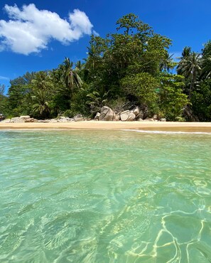 Une plage à l’eau turquoise et limpide, bordée d’un rivage sablonneux et d’une végétation luxuriante.