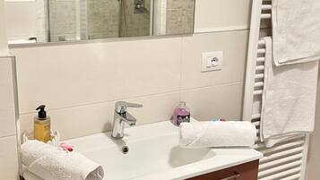 Regadera, secadora de cabello, bidet, toallas