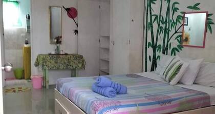 The Cronin Residence