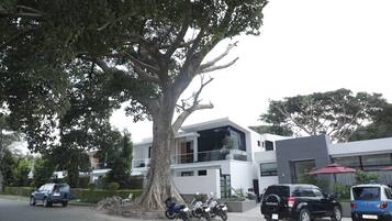 Front of property