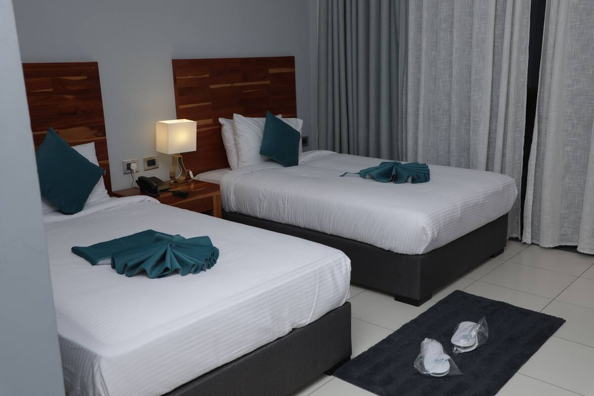 Habitación de lujo con 2 camas individuales | Artículos del minibar gratis y escritorio 