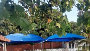 Une piscine aux carreaux bleus, entourée de chaises en plastique blanches et de parasols bleus.