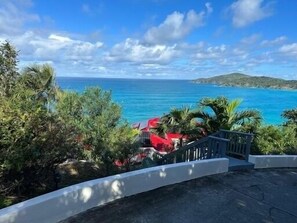Property grounds - Villa Mangorosa (St Thomas)