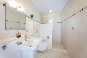 Shower, hair dryer