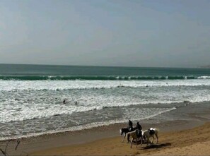 Beach - Appartement Les Vagues à vos Pieds (Aourir)