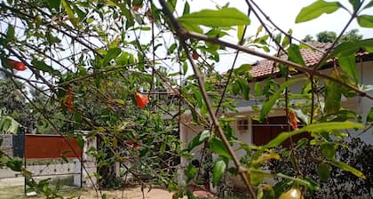 Rest house Nilaveli