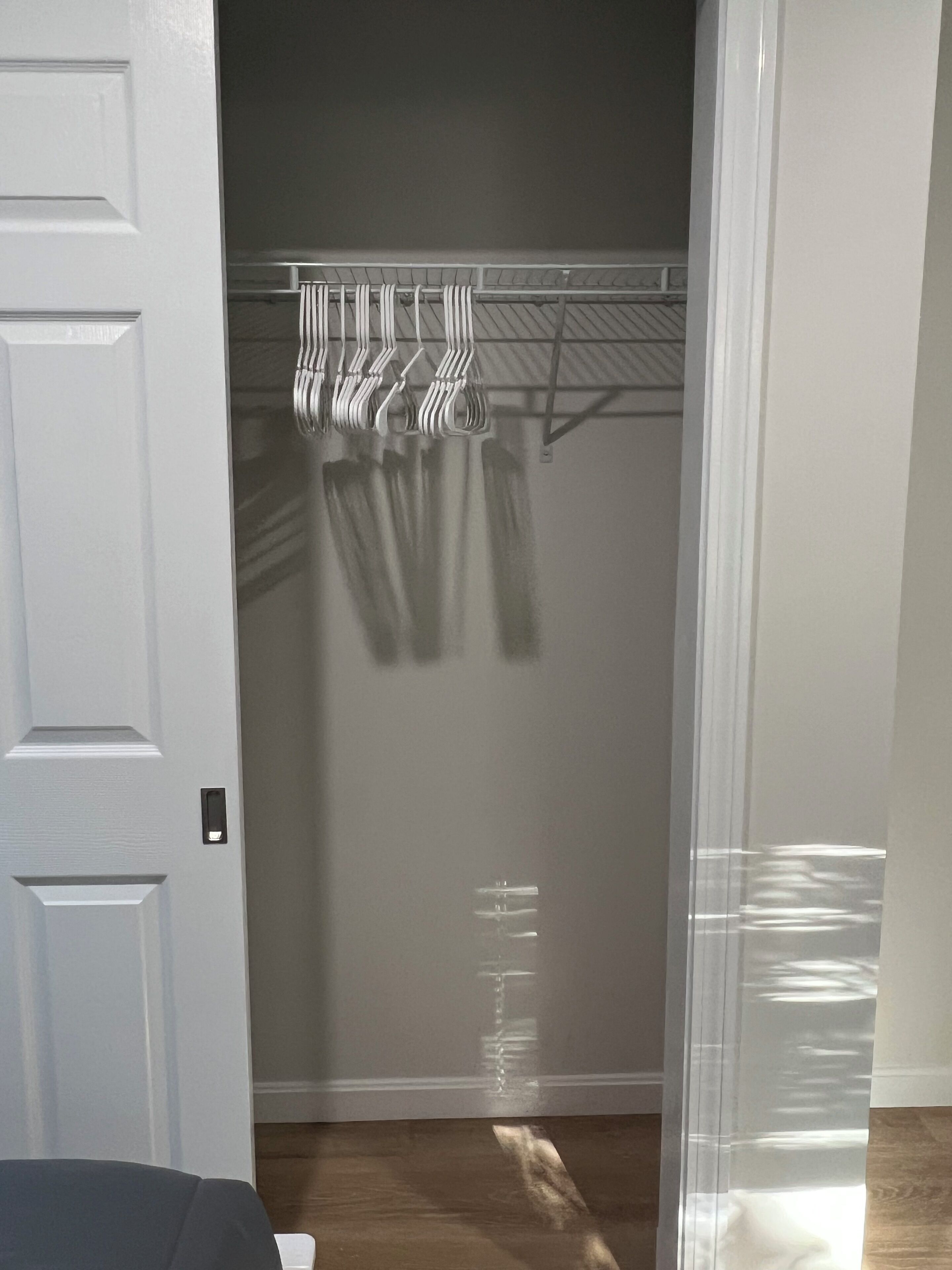 Ein Schrank mit Kleiderhaken, einer Tür und Holzboden.
