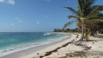 Playa en los alrededores
