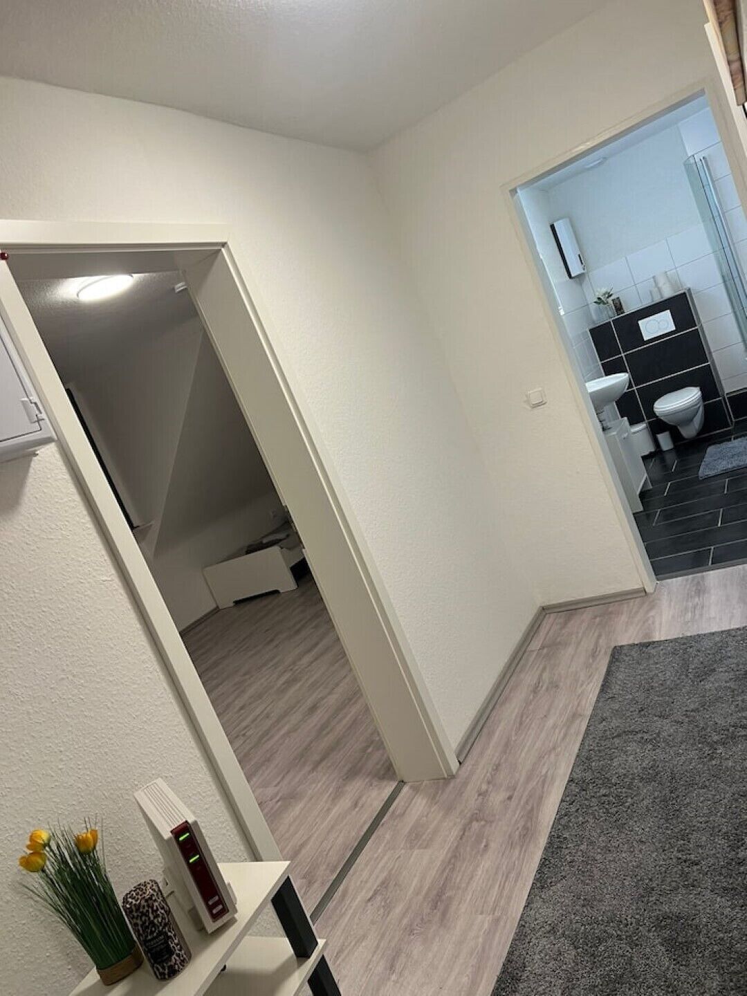 Haartrockner, Handtücher, Seife, Toilettenpapier