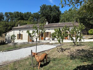 Esterni