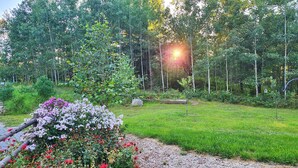 A garden with a bench, surrounded by trees and flowering plants. - Cozy cabin on 5 acres of wooded land! (Wausaukee)