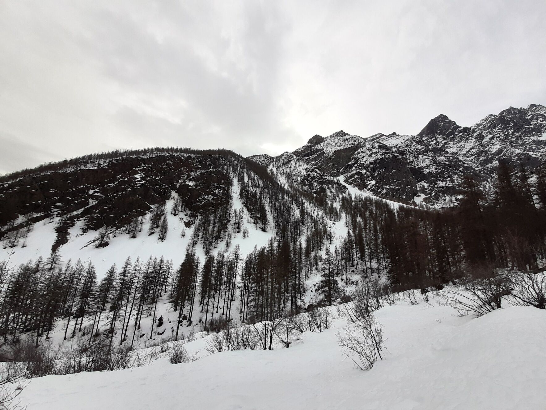 Un paisaje montañoso con laderas nevadas y bosques densos.