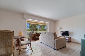 电视、DVD 播放器