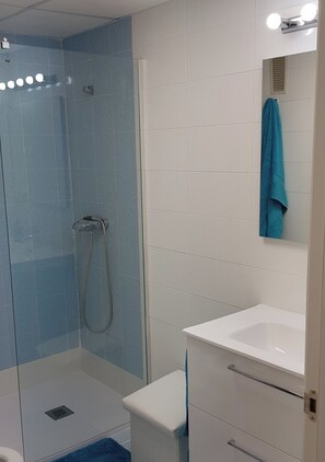 Regadera, secadora de cabello, bidet, toallas 