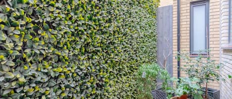 Appartement, 1 lit double | Enceinte de l’hébergement