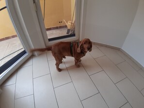 Interior - Explore Vienna, 2 rooms (Wien)