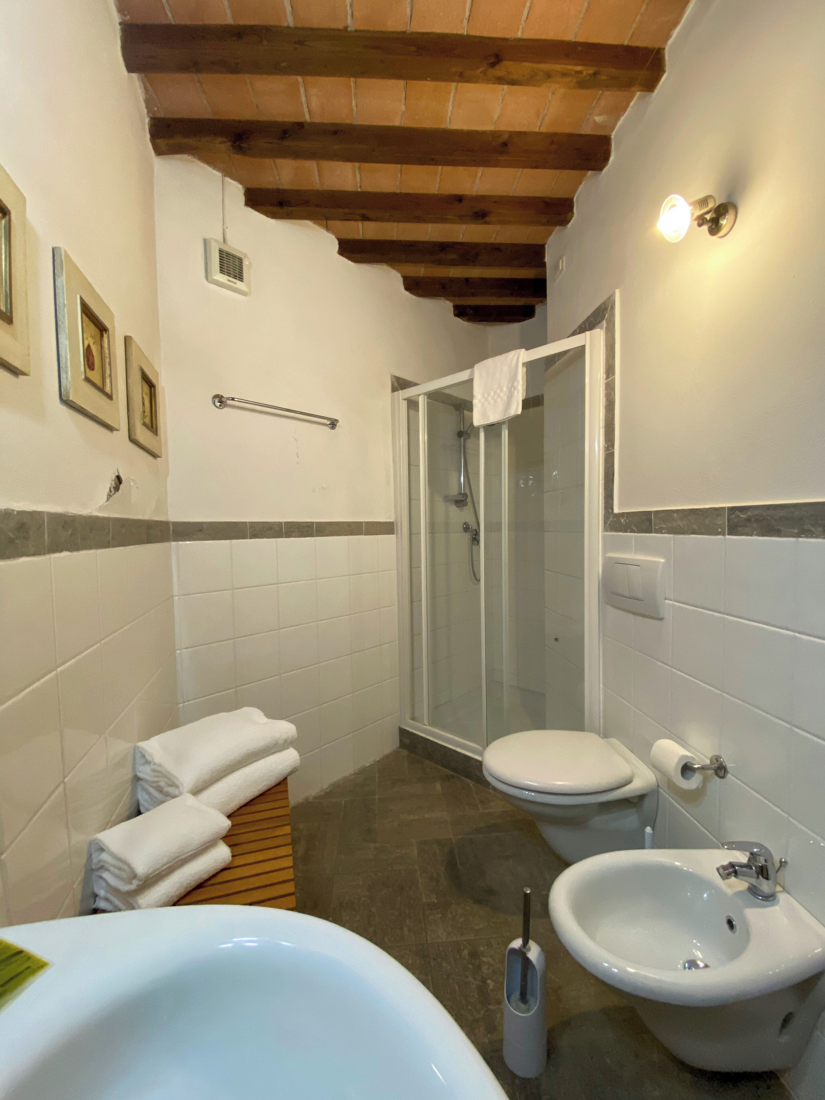 A bathroom with a shower, toilet, bidet, and bathtub.
