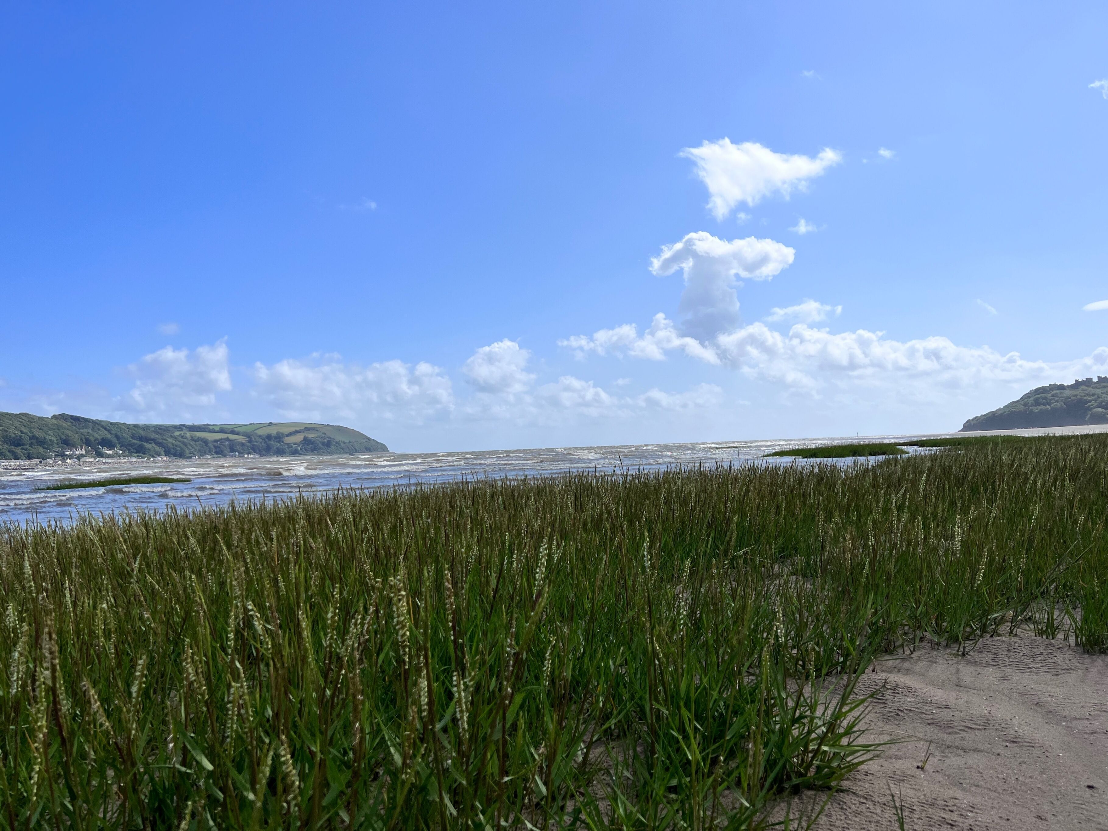 A coastal landscape with a sandy foreground, a body of water, and distant hills.