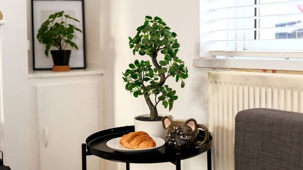 Una pequeña mesa con una planta en maceta, un cerdito de cerámica y un croissant.
